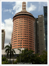 Daihachi Chemical Singapore Pte Ltd. (Overseas Subsidiary)