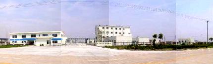 Overview of Plant